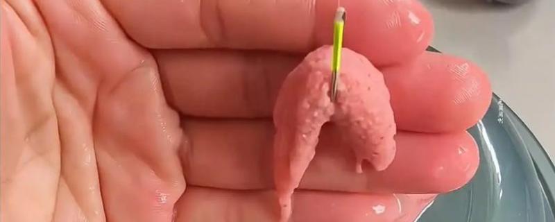 钓鲢鳙怎么挂饵，一般都是用雾化快的散饵