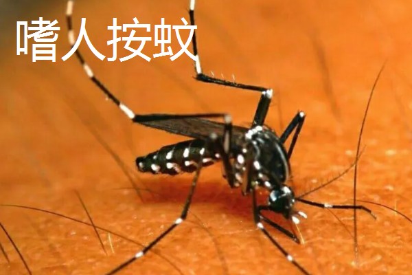 一只蚊子的寿命，可以存活3-100天左右