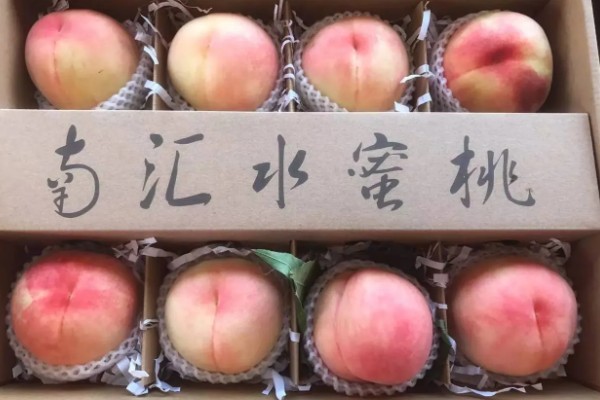 南汇水蜜桃的上市时间，主要集中在6-8月份