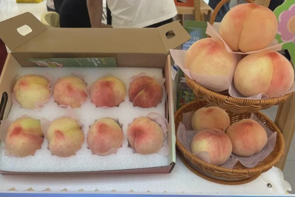 南汇水蜜桃的上市时间，主要集中在6-8月份