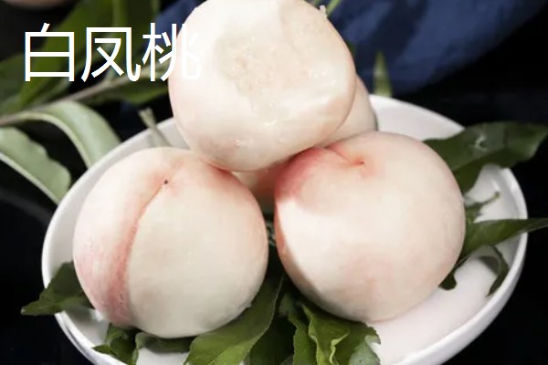 南汇水蜜桃的上市时间，主要集中在6-8月份