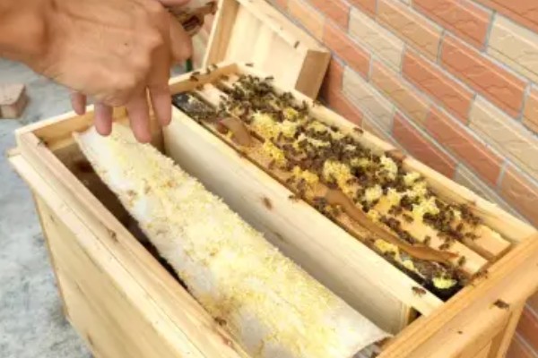 蜜蜂奖励饲喂的方法，一般多在早春或秋季饲喂