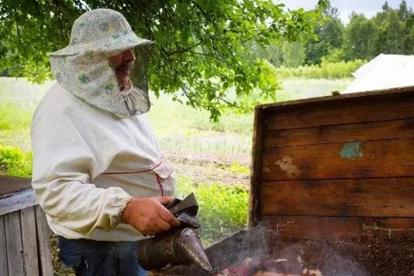 蜜蜂奖励饲喂的方法，一般多在早春或秋季饲喂