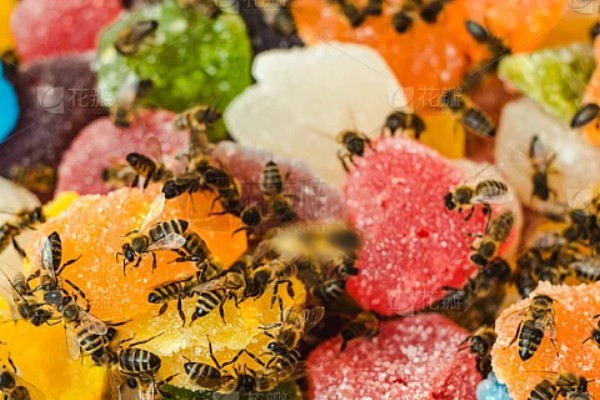 蜜蜂奖励饲喂的方法，一般多在早春或秋季饲喂