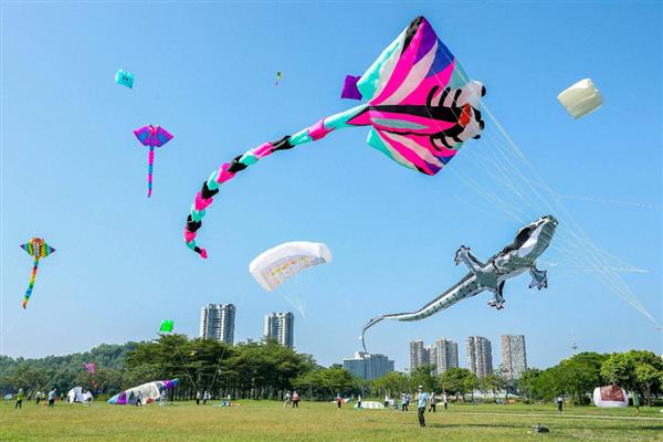 重阳节各地都有哪些习俗，南北各异