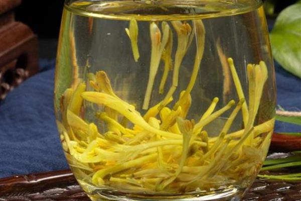 重阳节各地都有哪些习俗，南北各异