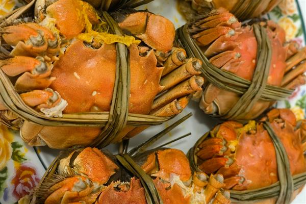 重阳节各地都有哪些习俗，南北各异