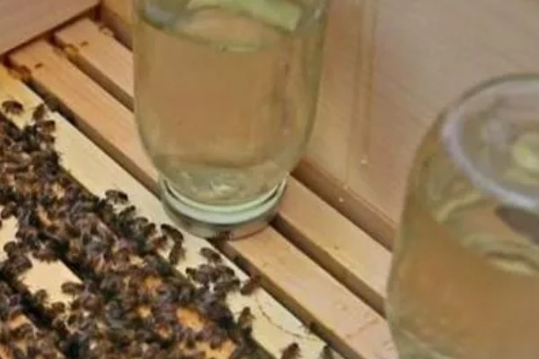 蜜蜂奖励饲喂的方法，一般多在早春或秋季饲喂