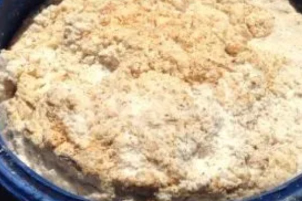 怎么用豆腐渣饲喂母羊，与精料和粗料搭配饲喂才能提供全面的营养