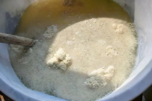 怎么用豆腐渣饲喂母羊，与精料和粗料搭配饲喂才能提供全面的营养
