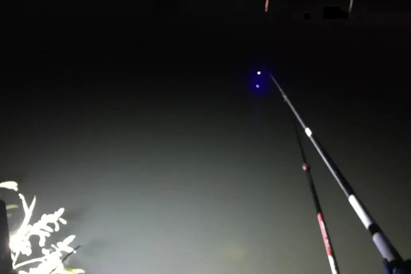 晚上钓草鱼是浮钓还是底钓，天气比较好的话建议钓浮