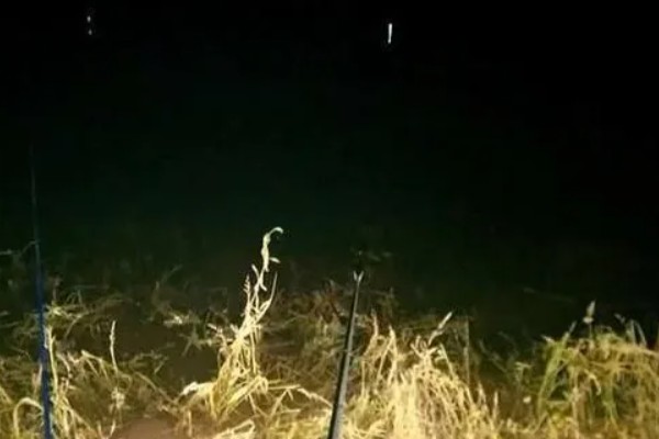 晚上钓草鱼是浮钓还是底钓，天气比较好的话建议钓浮
