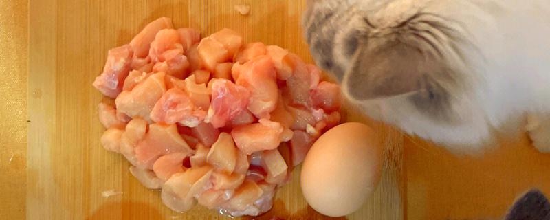 简单自制猫饭，原材料包括鸡胸肉、鸡蛋液、土豆等