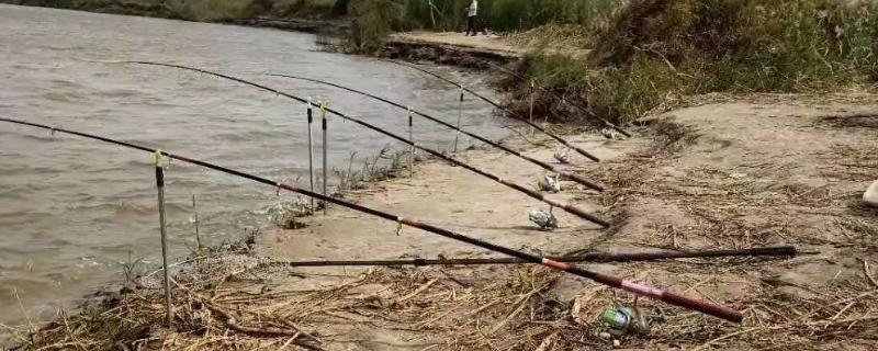 手海两用竿的定义，分为矶竿和前打竿两种