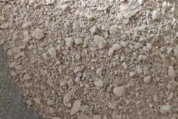 君子兰中间的叶子烂了怎么处理，移到通风透气的半阴环境中养护