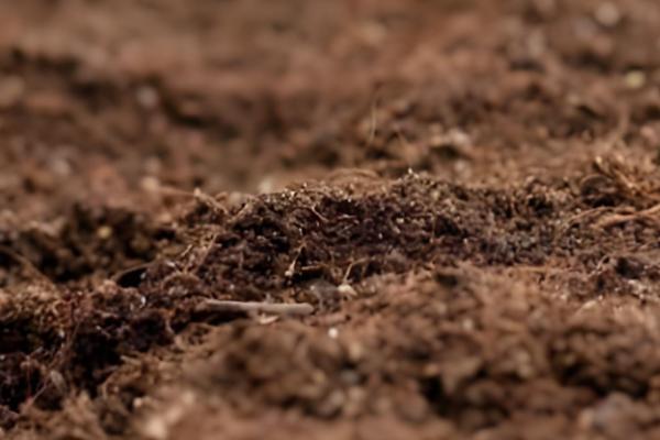 土壤酸化的原因，可能是氮肥施用过多所致