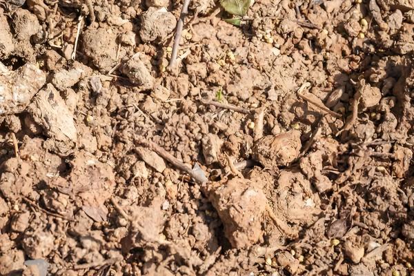 土壤酸化的原因，可能是氮肥施用过多所致