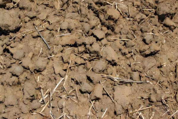 土壤酸化的原因，可能是氮肥施用过多所致