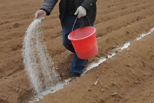土壤酸化的原因，可能是氮肥施用过多所致