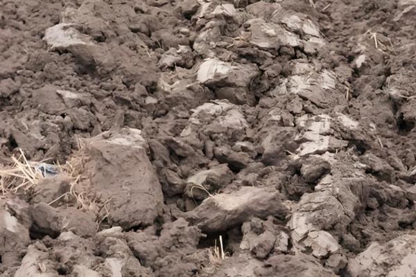 土壤酸化的原因，可能是氮肥施用过多所致