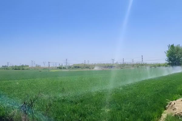 土壤酸化的原因，可能是氮肥施用过多所致