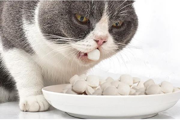 猫春季换毛预防毛球症的方法,饲喂猫草、化毛膏、化毛球片均有效果