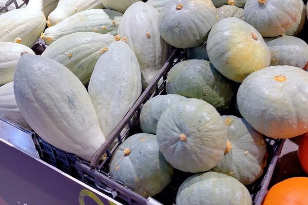 贵族南瓜怎么种植，每穴放入1-2粒种子