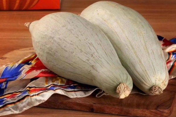 贵族南瓜怎么种植，每穴放入1-2粒种子