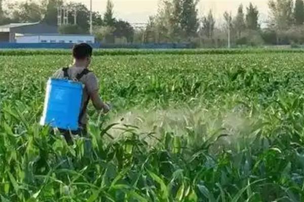 烯效唑的使用注意事项,应放在阴冷干燥的地方储存