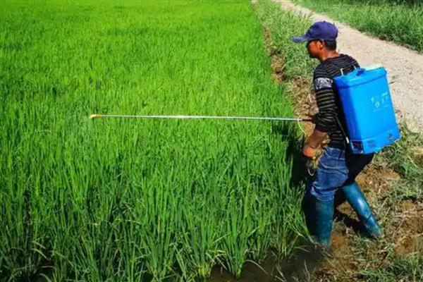 烯效唑的使用注意事项,应放在阴冷干燥的地方储存