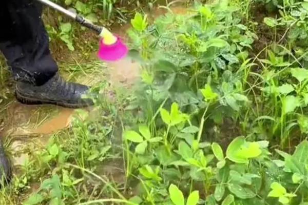 烯效唑的使用注意事项,应放在阴冷干燥的地方储存