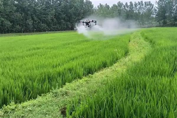 烯效唑的使用注意事项,应放在阴冷干燥的地方储存