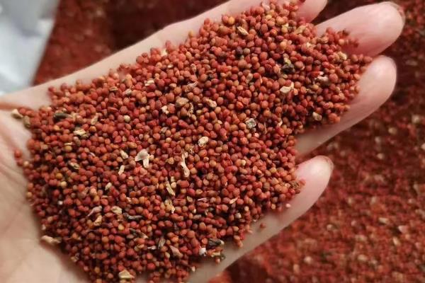 构树果实能吃吗,构树果实可以食用