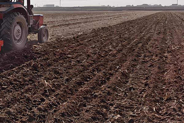 小麦行距多宽合适,控制在15-23cm左右