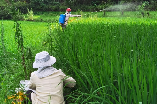 稻纵卷叶螟的防治方式，以下药物均能起到防治效果