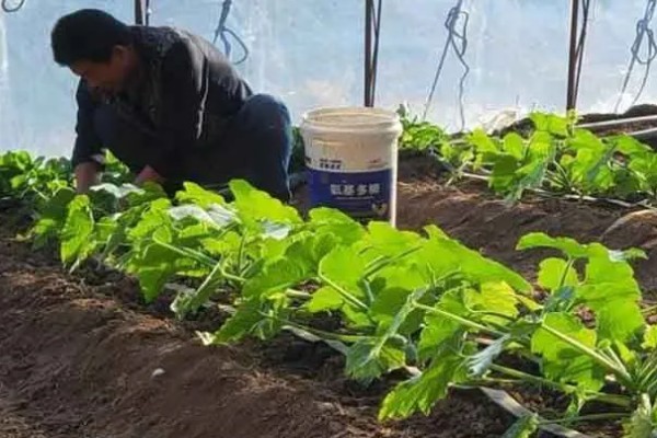 诱杀农业害虫的方法,可采取灯光诱杀、毒饵诱杀等方式