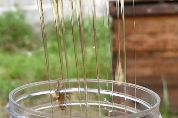 真假龙眼蜜的区分方法,真品呈透明的琥珀色具有龙眼花的香味