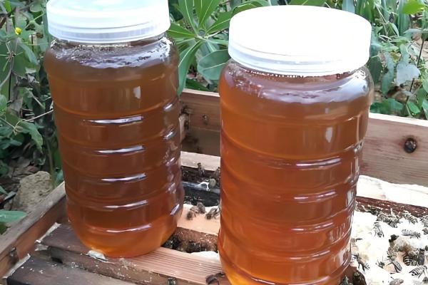 真假龙眼蜜的区分方法,真品呈透明的琥珀色具有龙眼花的香味