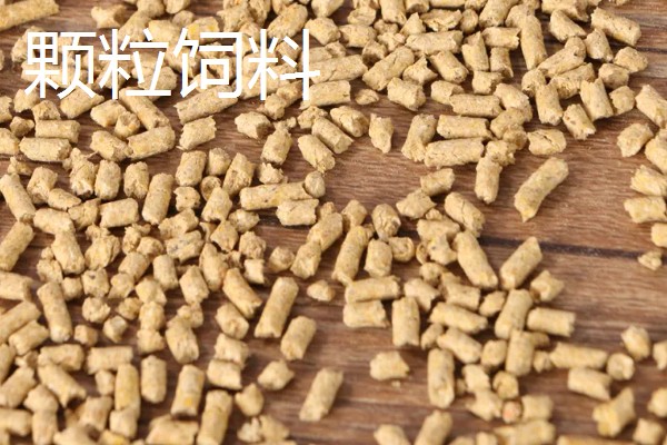 野钓打窝用哪种饵料，酒米、五谷杂粮等种类均可使用