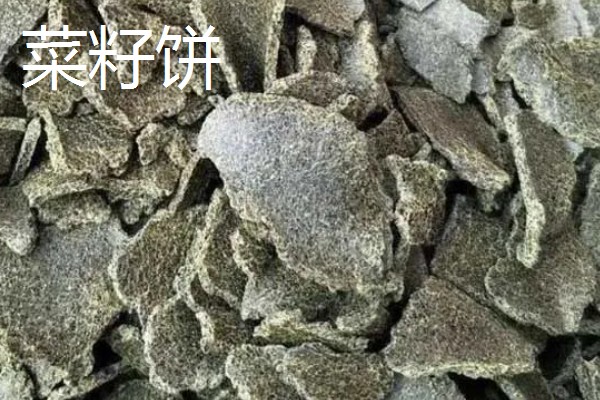 野钓打窝用哪种饵料，酒米、五谷杂粮等种类均可使用