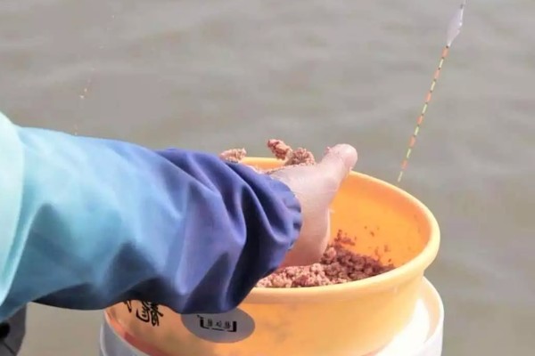 野钓打窝用哪种饵料，酒米、五谷杂粮等种类均可使用