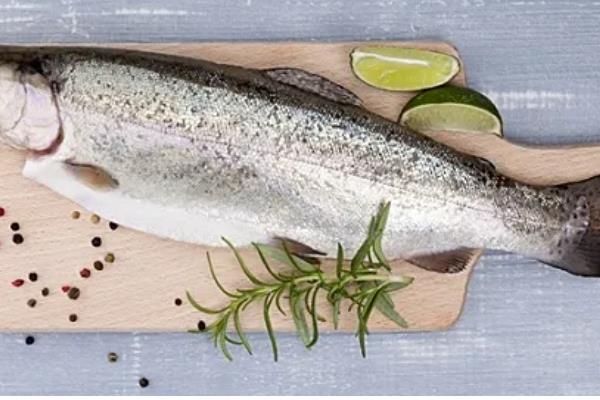 鲑鱼和三文鱼有何区别,体型、外观、鱼鳞等方面都不同