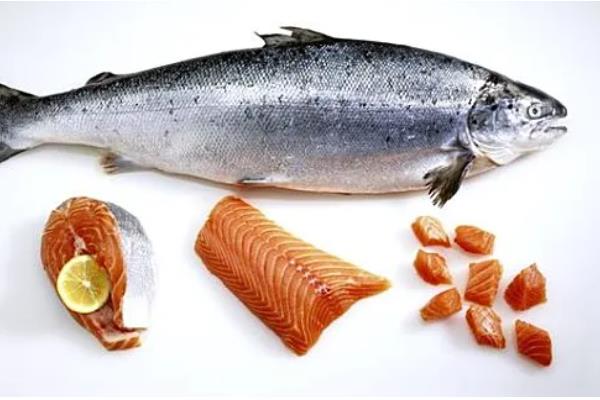 鲑鱼和三文鱼有何区别,体型、外观、鱼鳞等方面都不同