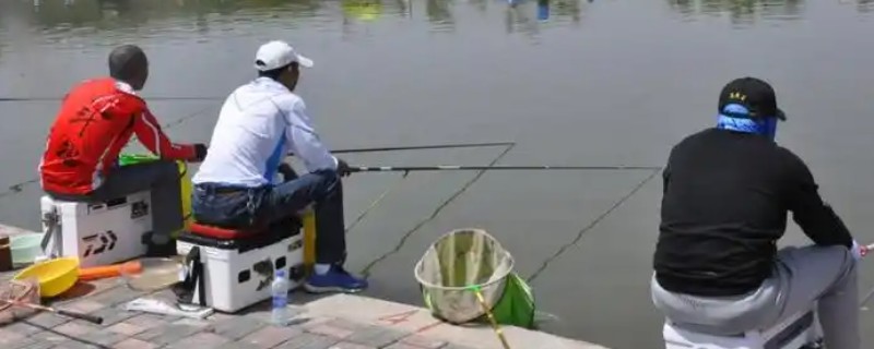 黑坑用硫酸铜能不能让鱼开口,可增加鱼口但多次使用会引发不良后果