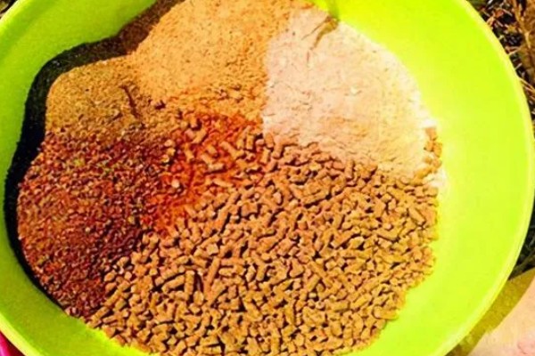 夏天什么时候适合钓土鲮鱼,早上、傍晚、晚上是最佳时间