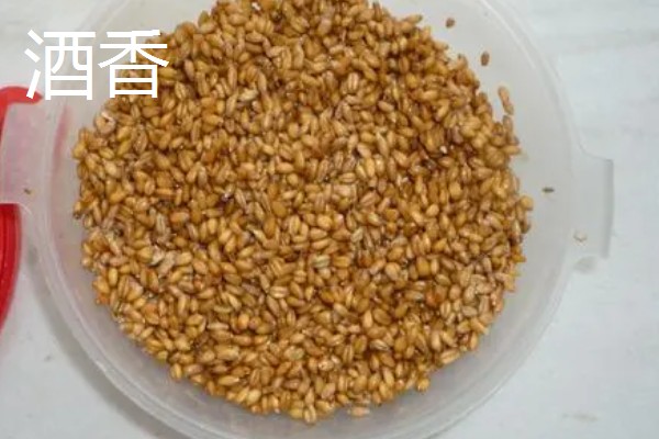 夏天什么时候适合钓土鲮鱼,早上、傍晚、晚上是最佳时间