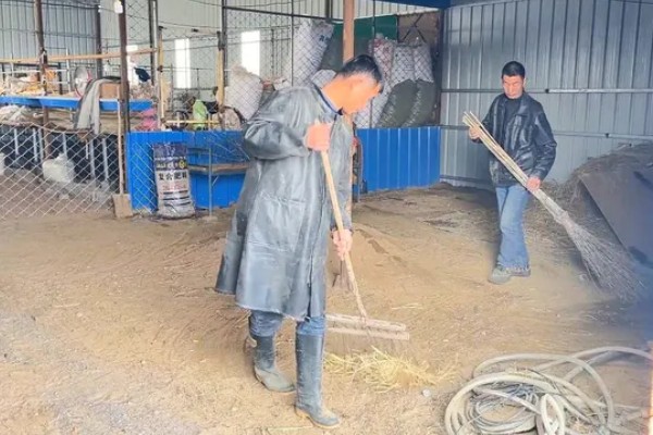 羊不怎么吃很瘦怎么处理,要注意饲料的多样化