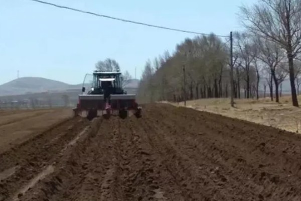 芦笋怎么种植，每隔20天追施一次有机肥液