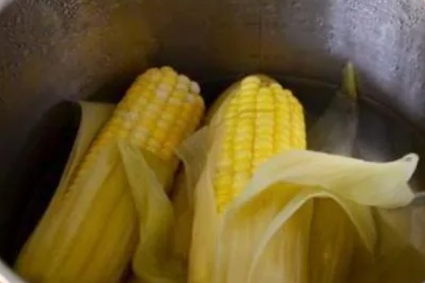 玉米买回来后的注意事项，保留2层新鲜的内层玉米皮
