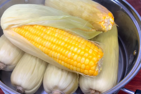 玉米买回来后的注意事项，保留2层新鲜的内层玉米皮